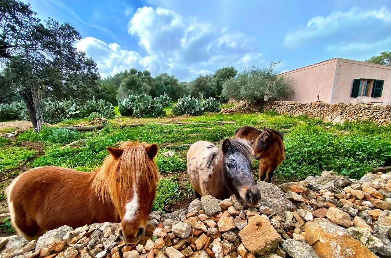 مزرعة للإقامة Finca Agroturismo Sa Cova Den Borino كامبوس