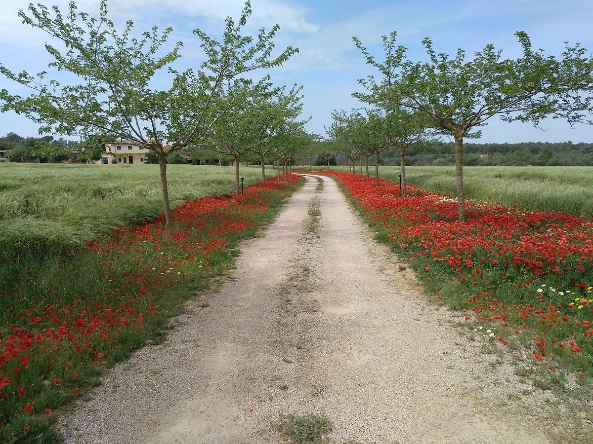 Finca Agroturismo Sa Cova Den Borino كامبوس 0*,