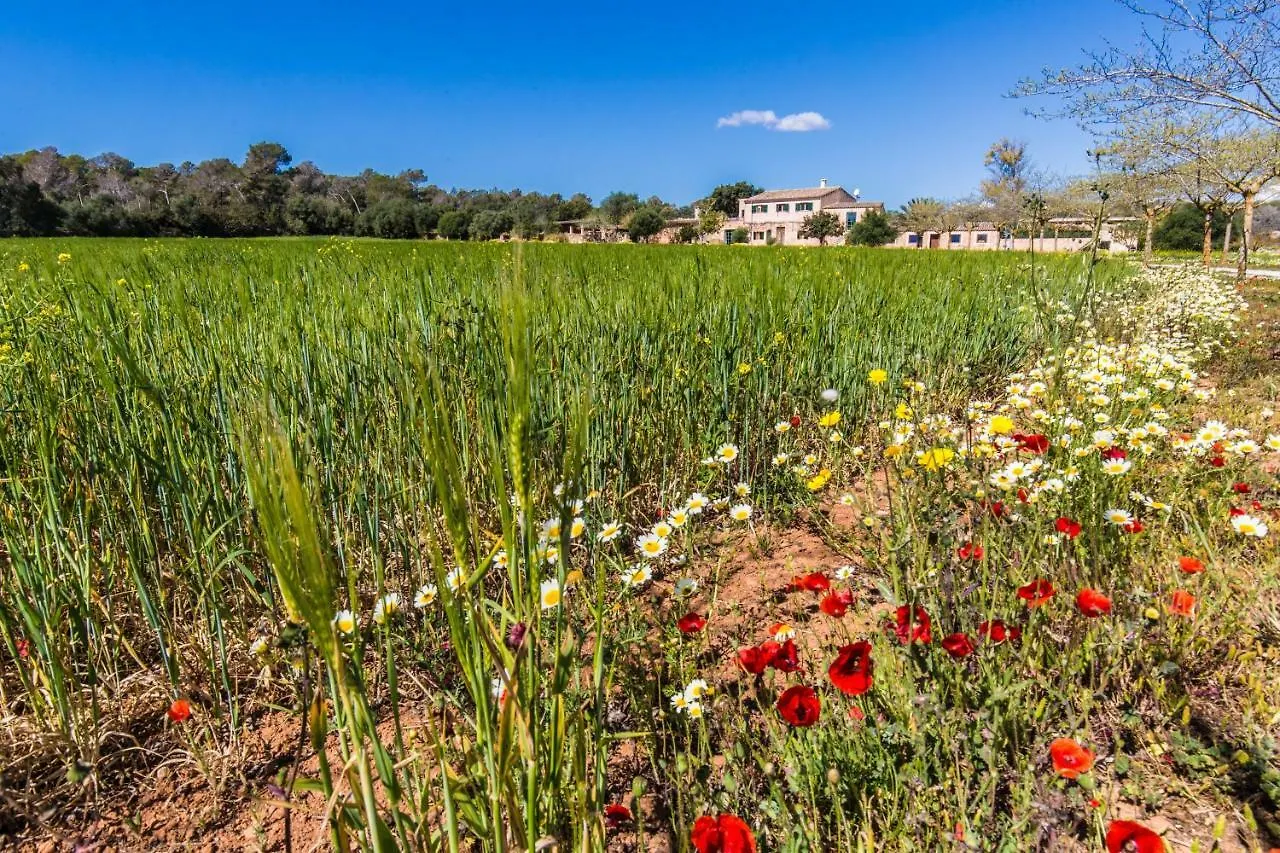 مزرعة للإقامة Finca Agroturismo Sa Cova Den Borino كامبوس