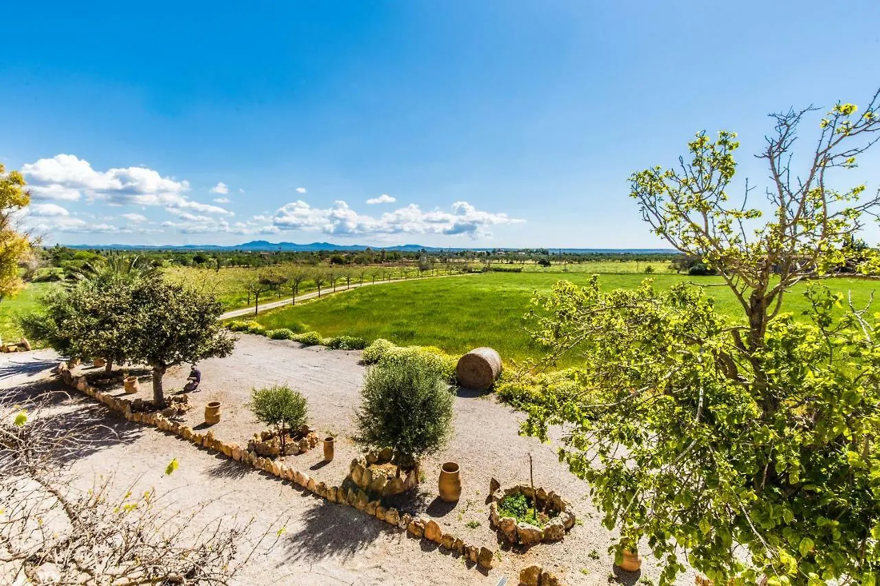مزرعة للإقامة Finca Agroturismo Sa Cova Den Borino كامبوس